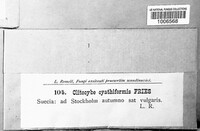 Image Associated With the Occurence
